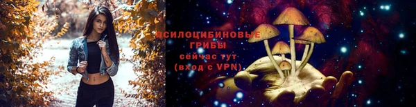 круглые Верхний Тагил