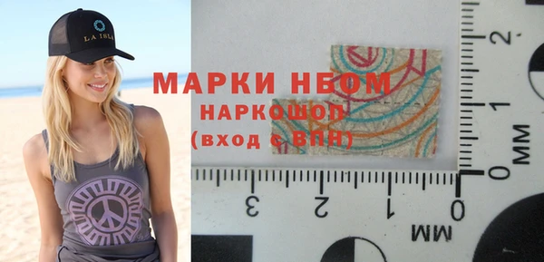 стаф Верея