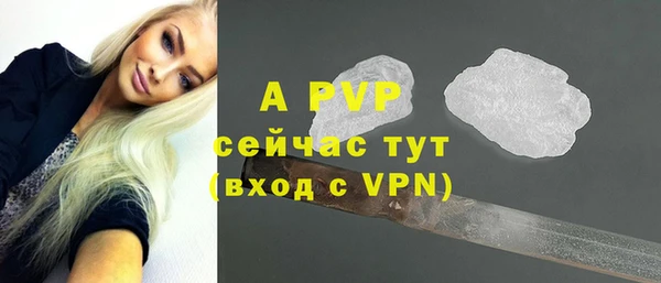 соль ск Пересвет