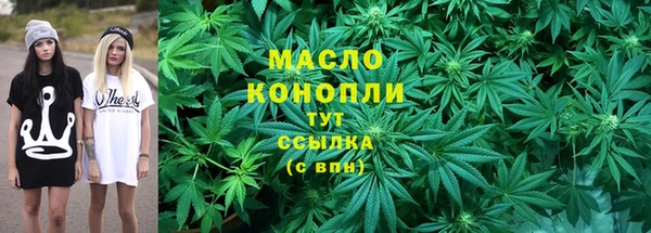стаф Верея