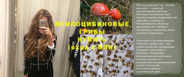 2c-b Бородино