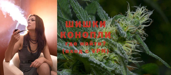 стаф Верея