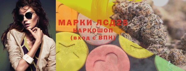стаф Верея