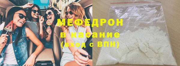 стаф Верея